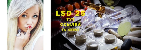шишки Гусь-Хрустальный