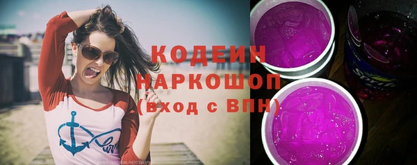 тгк Гусев