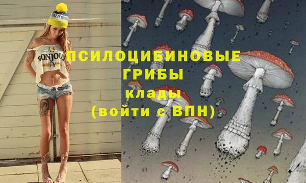 гашиш Абаза