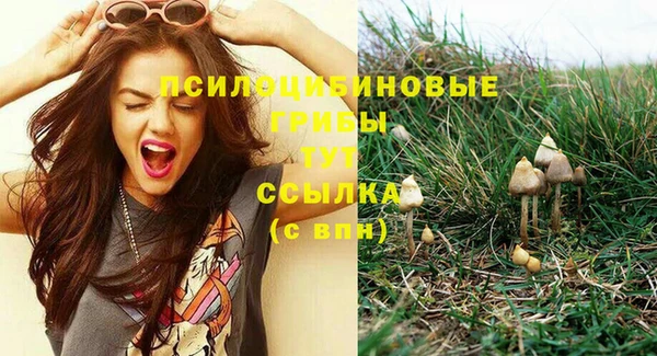 трава Абинск
