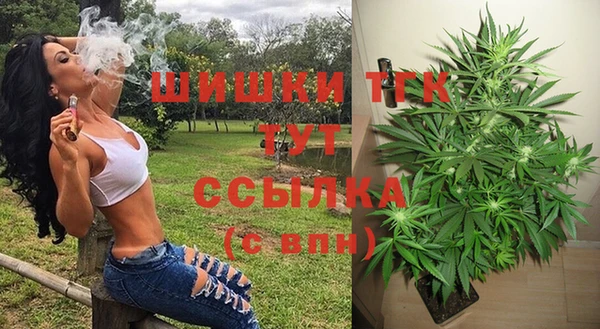 гашик Алексеевка