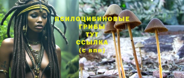 гашиш Абаза